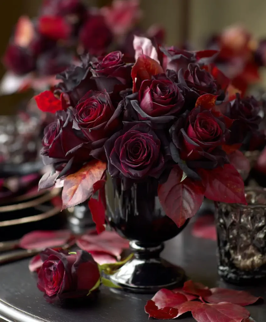 Dark Romance Roses